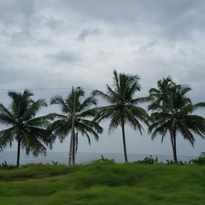 Meet your Posher, Belkys